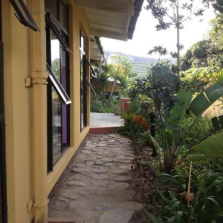 Jungle Monkey Backpackers Hostel Port Saint Johnʼs Buitenkant foto