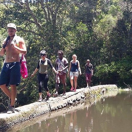 Jungle Monkey Backpackers Hostel Port Saint Johnʼs Buitenkant foto