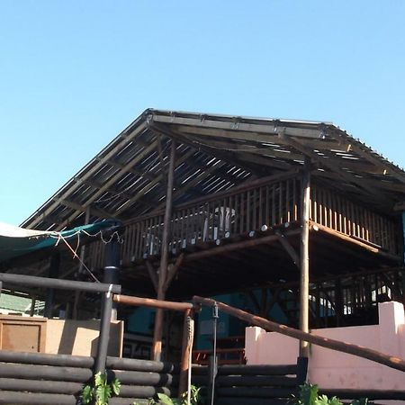 Jungle Monkey Backpackers Hostel Port Saint Johnʼs Buitenkant foto