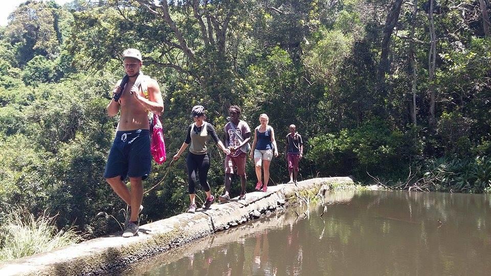 Jungle Monkey Backpackers Hostel Port Saint Johnʼs Buitenkant foto