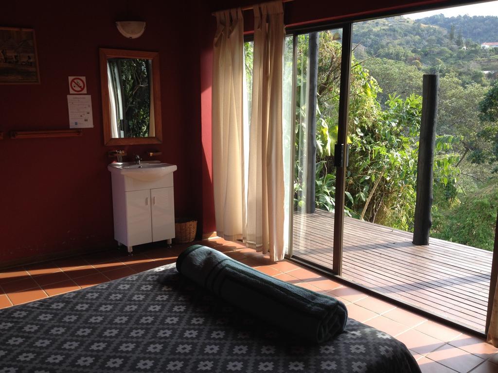 Jungle Monkey Backpackers Hostel Port Saint Johnʼs Kamer foto