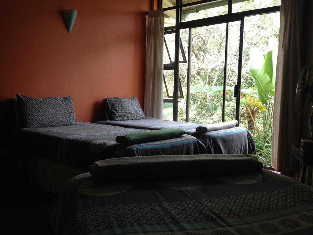Jungle Monkey Backpackers Hostel Port Saint Johnʼs Kamer foto
