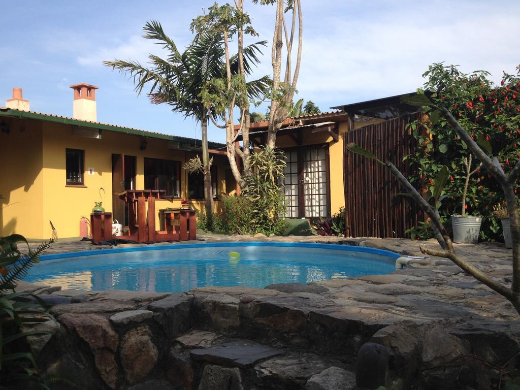 Jungle Monkey Backpackers Hostel Port Saint Johnʼs Kamer foto