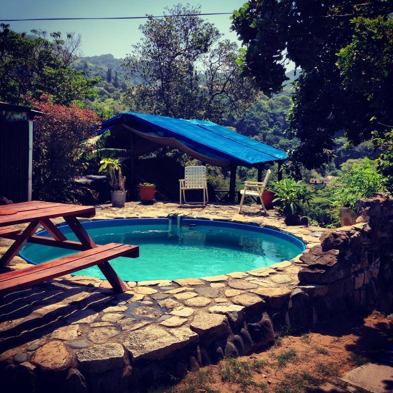 Jungle Monkey Backpackers Hostel Port Saint Johnʼs Kamer foto