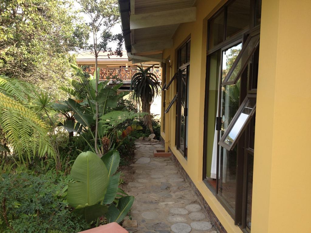 Jungle Monkey Backpackers Hostel Port Saint Johnʼs Kamer foto