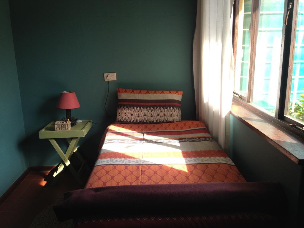Jungle Monkey Backpackers Hostel Port Saint Johnʼs Kamer foto