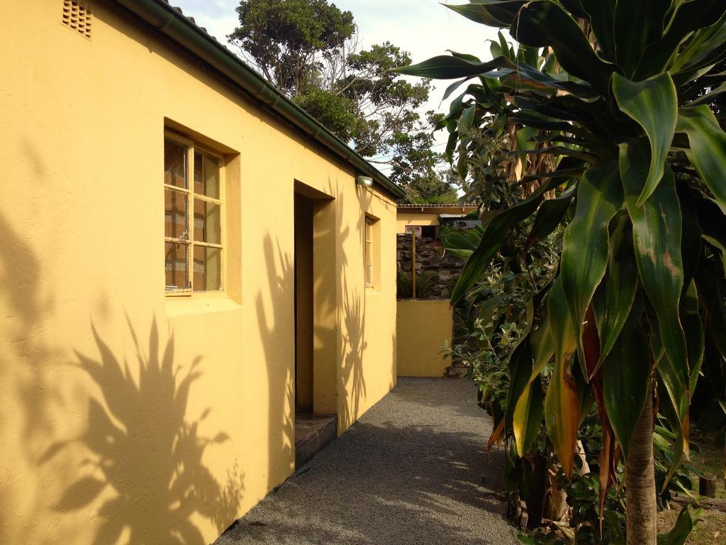 Jungle Monkey Backpackers Hostel Port Saint Johnʼs Kamer foto