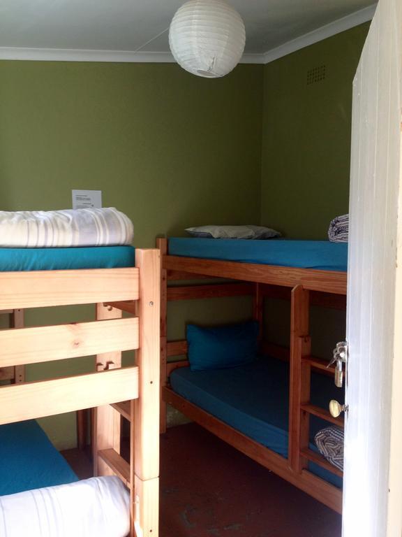 Jungle Monkey Backpackers Hostel Port Saint Johnʼs Kamer foto