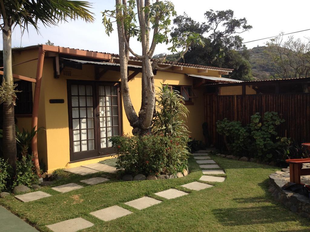 Jungle Monkey Backpackers Hostel Port Saint Johnʼs Kamer foto