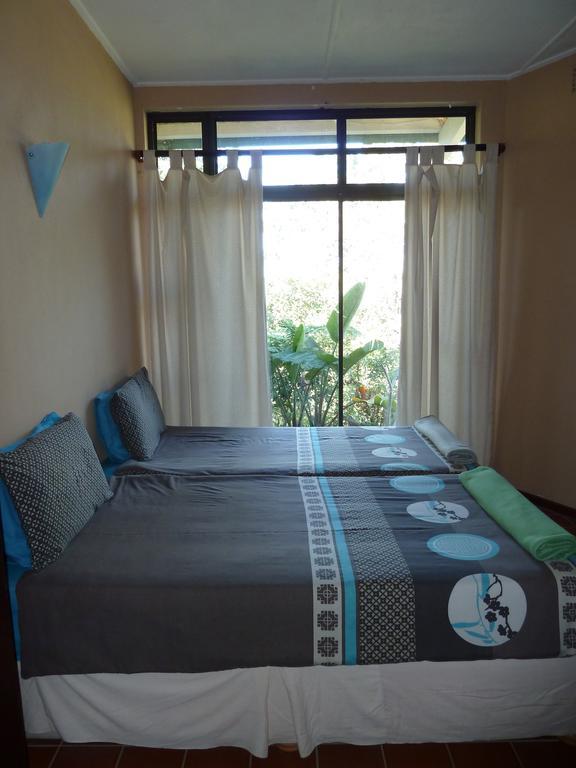 Jungle Monkey Backpackers Hostel Port Saint Johnʼs Kamer foto