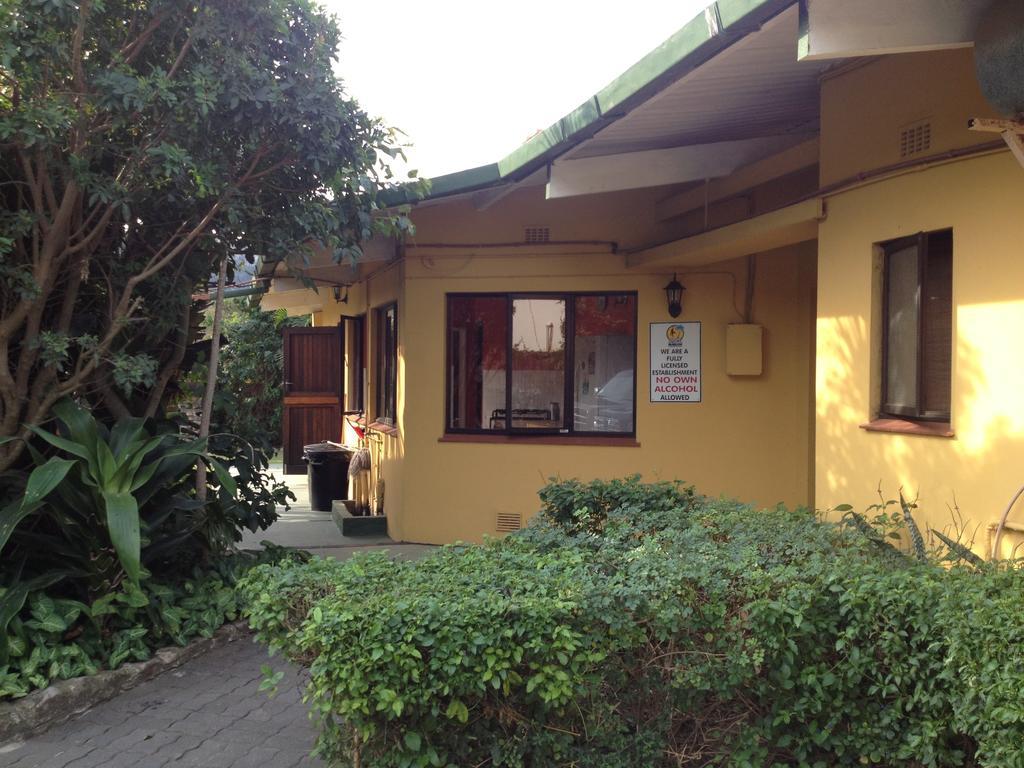 Jungle Monkey Backpackers Hostel Port Saint Johnʼs Kamer foto