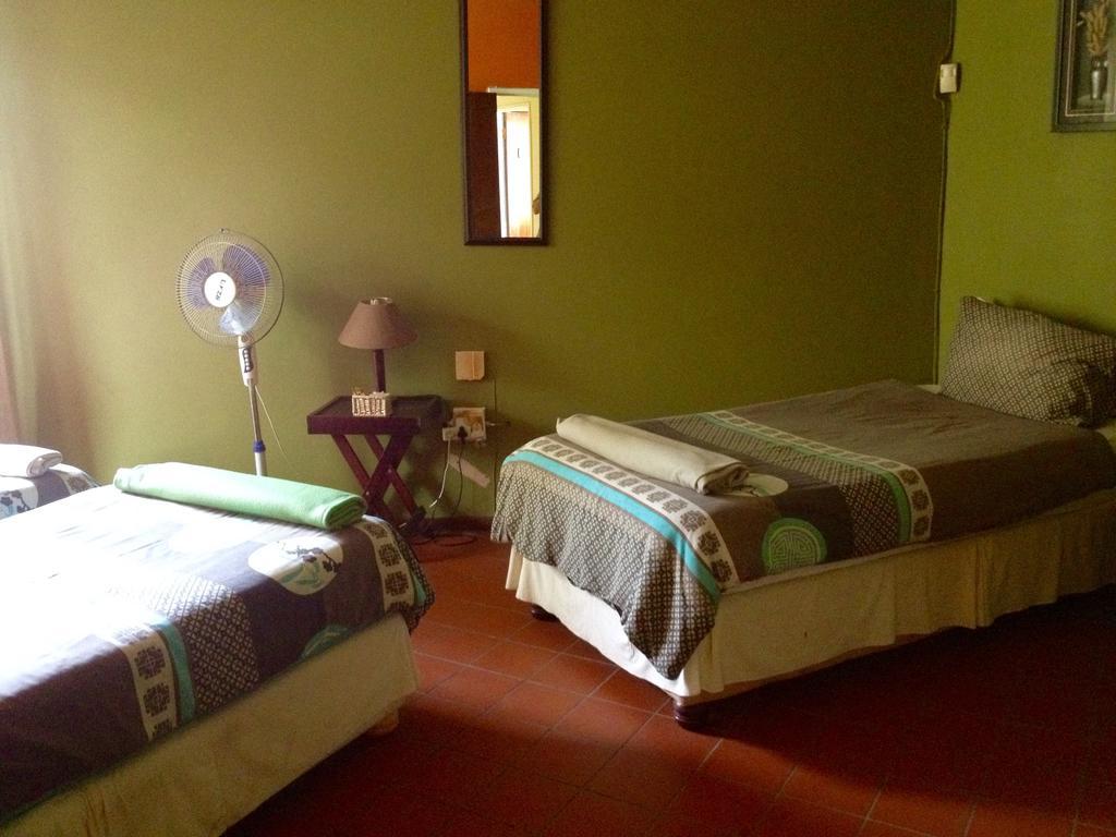 Jungle Monkey Backpackers Hostel Port Saint Johnʼs Kamer foto