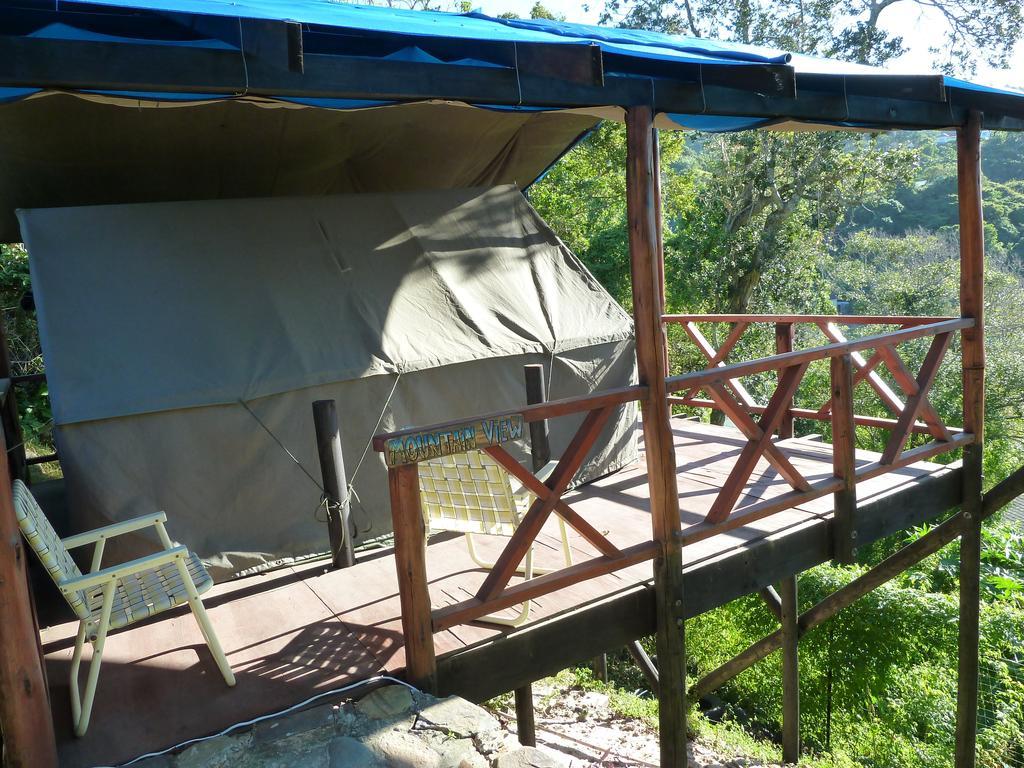 Jungle Monkey Backpackers Hostel Port Saint Johnʼs Kamer foto