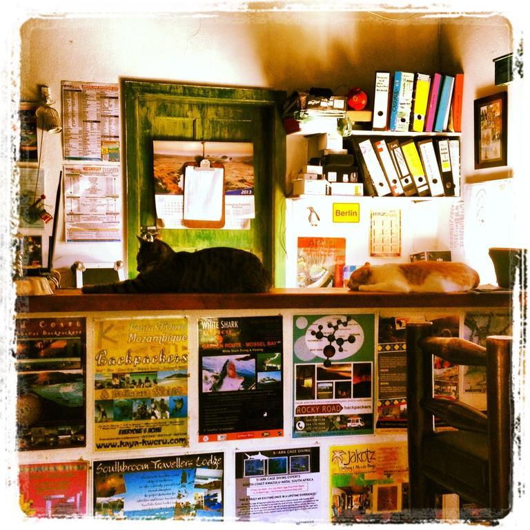 Jungle Monkey Backpackers Hostel Port Saint Johnʼs Buitenkant foto