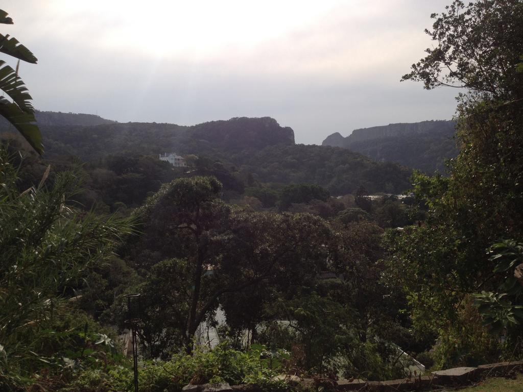 Jungle Monkey Backpackers Hostel Port Saint Johnʼs Kamer foto