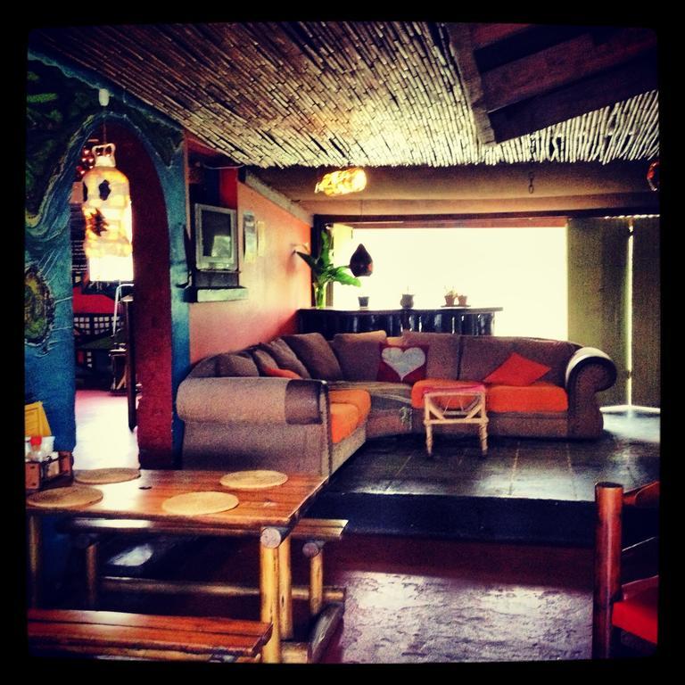 Jungle Monkey Backpackers Hostel Port Saint Johnʼs Buitenkant foto