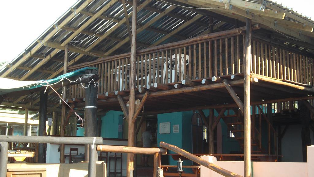 Jungle Monkey Backpackers Hostel Port Saint Johnʼs Buitenkant foto