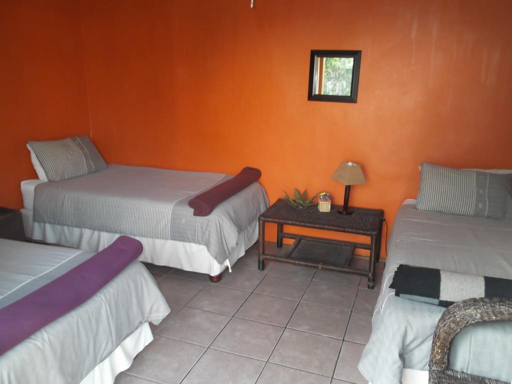 Jungle Monkey Backpackers Hostel Port Saint Johnʼs Buitenkant foto