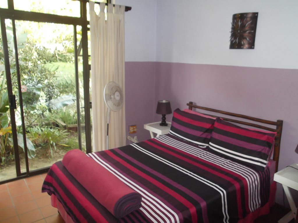 Jungle Monkey Backpackers Hostel Port Saint Johnʼs Buitenkant foto